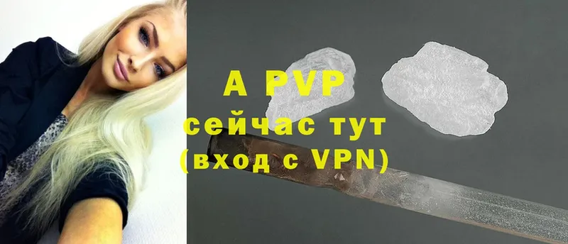 A PVP СК КРИС  Богданович 